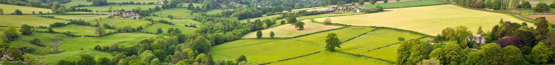 Ariel view of fields